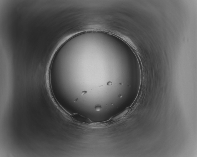 X0000102411440200808011558