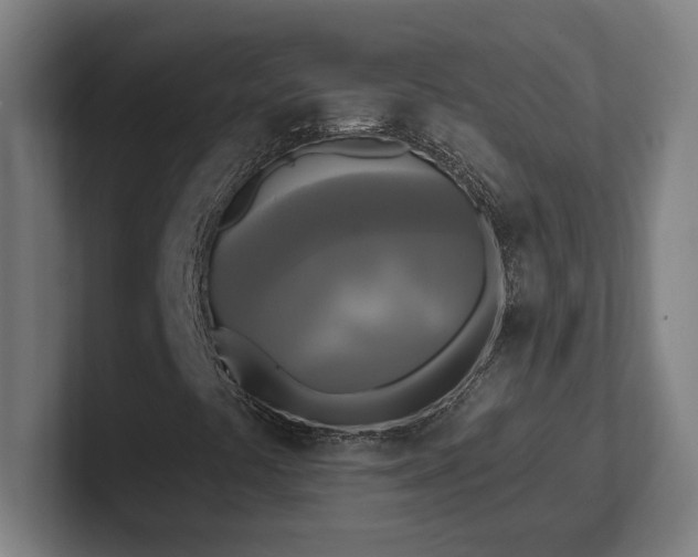 X0000102411441200808011557