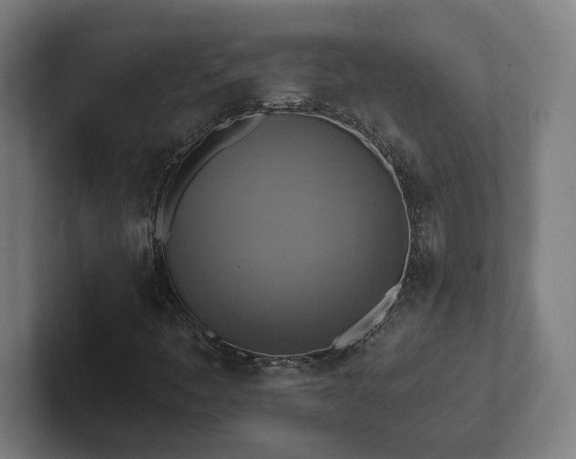 X0000102411445200808011557