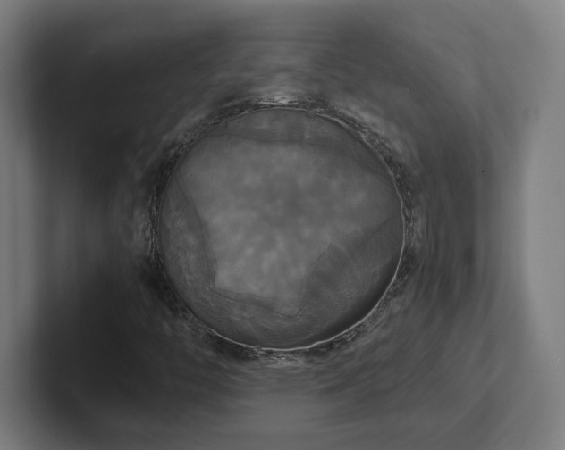 X0000102411446200808011557