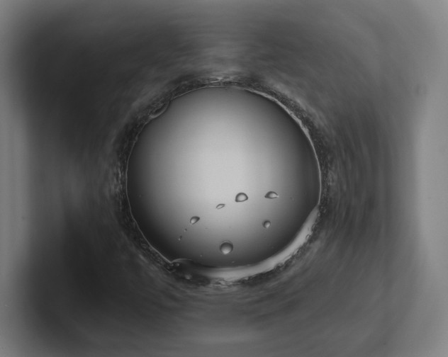 X0000102411447200808011557