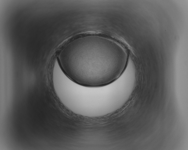 X0000102411448200808011557