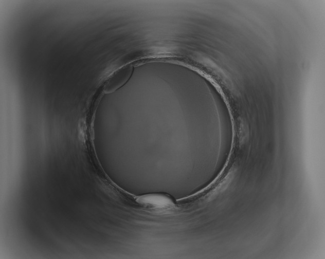X0000102411449200808011557