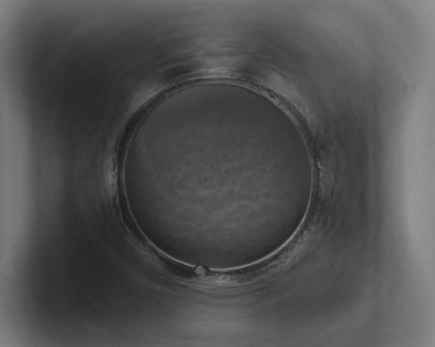 X0000102411450200808011557