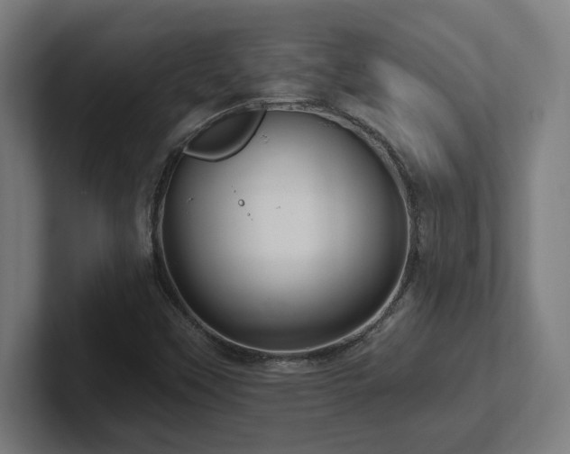 X0000102411451200808011557
