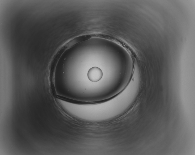 X0000102411452200808011557