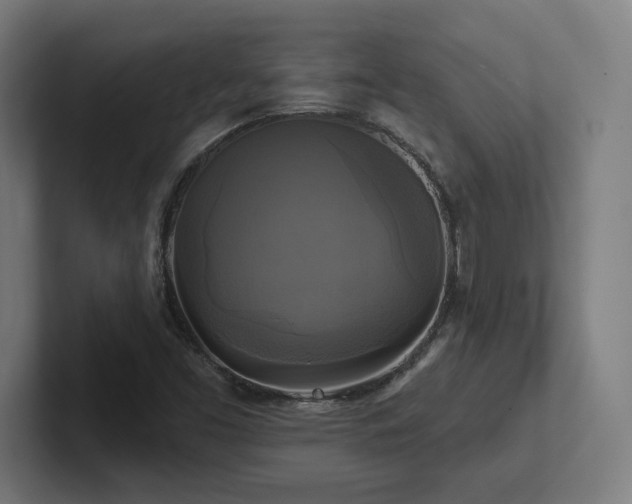 X0000102411453200808011557