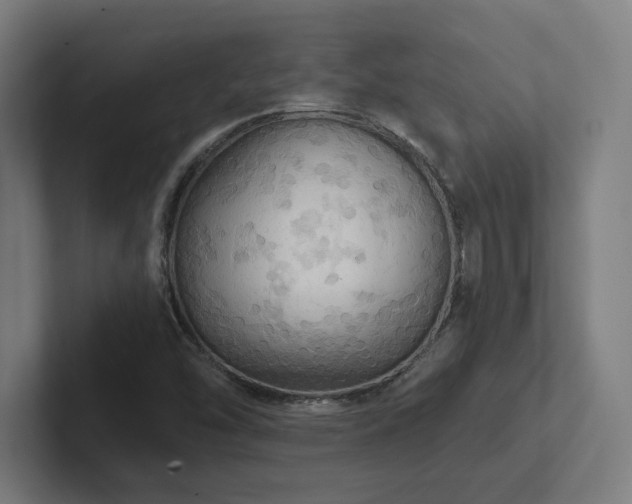 X0000102411454200808011557
