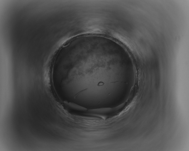 X0000102411455200808011557