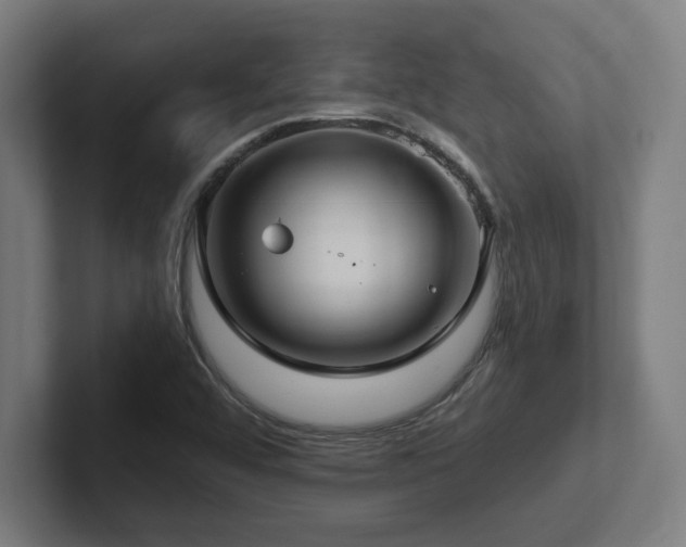 X0000102411456200808011557