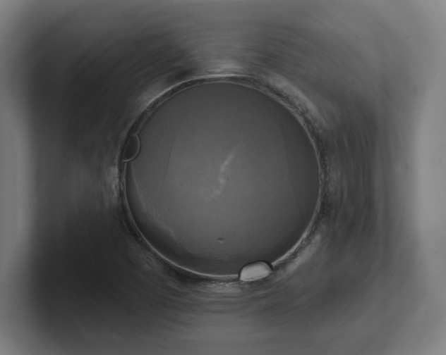 X0000102411457200808011557