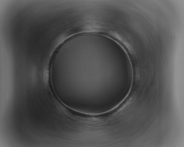 X0000102411459200808011557