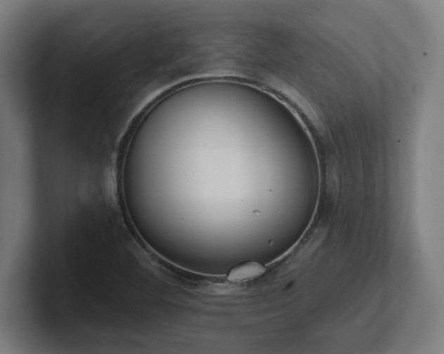 X0000102411460200808011557