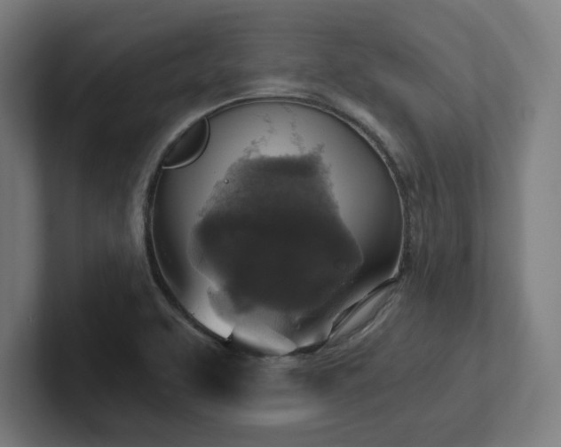 X0000102411463200808011557
