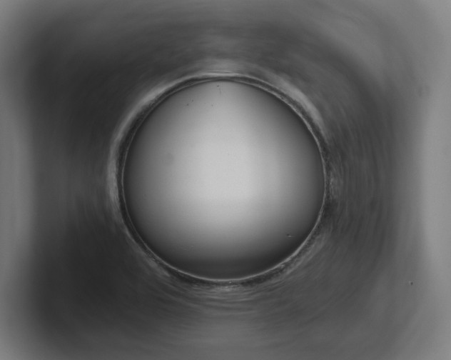X0000102411464200808011557