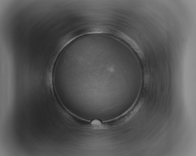 X0000102411465200808011557