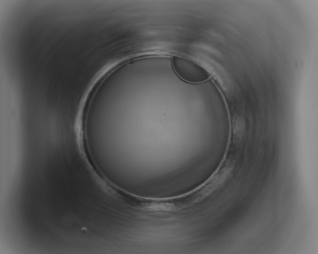 X0000102411466200808011557