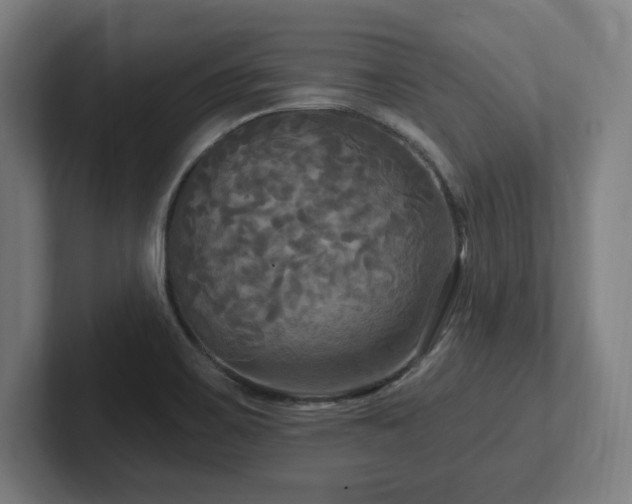 X0000102411467200808011557