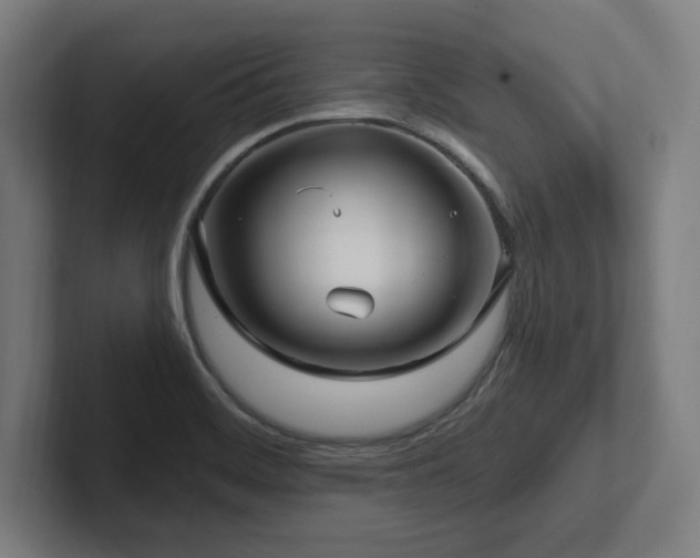 X0000102411468200808011557