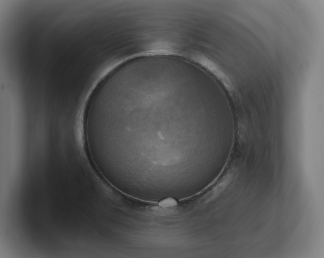 X0000102411469200808011557