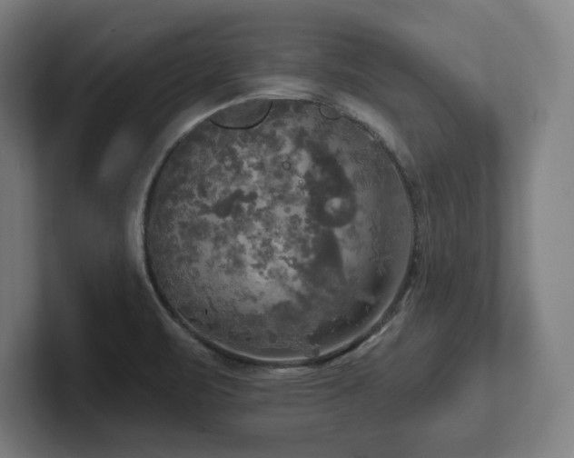 X0000102411471200808011557