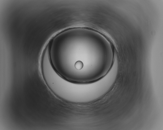 X0000102411472200808011557