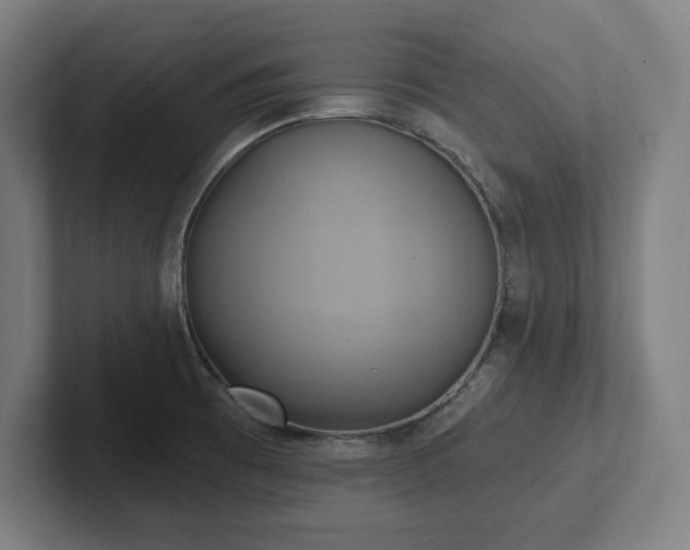 X0000102411473200808011557