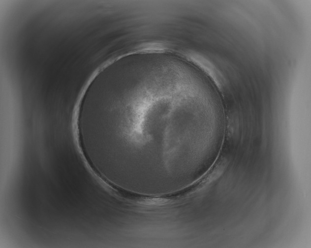 X0000102411475200808011557