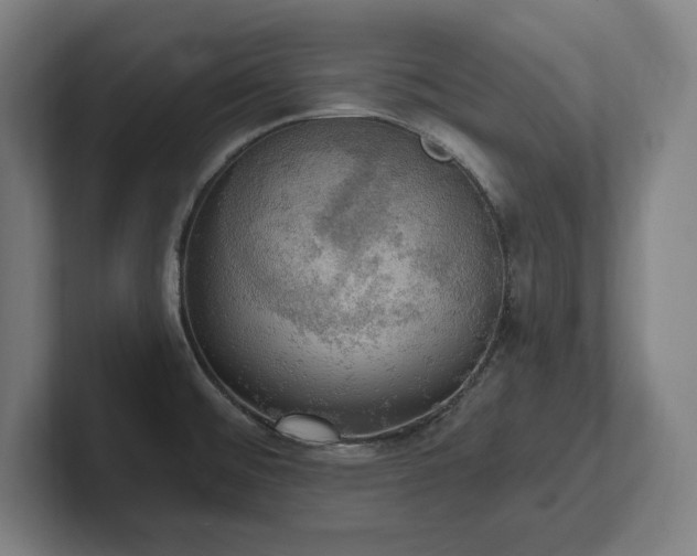 X0000102411476200808011557