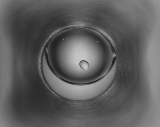 X0000102411477200808011557
