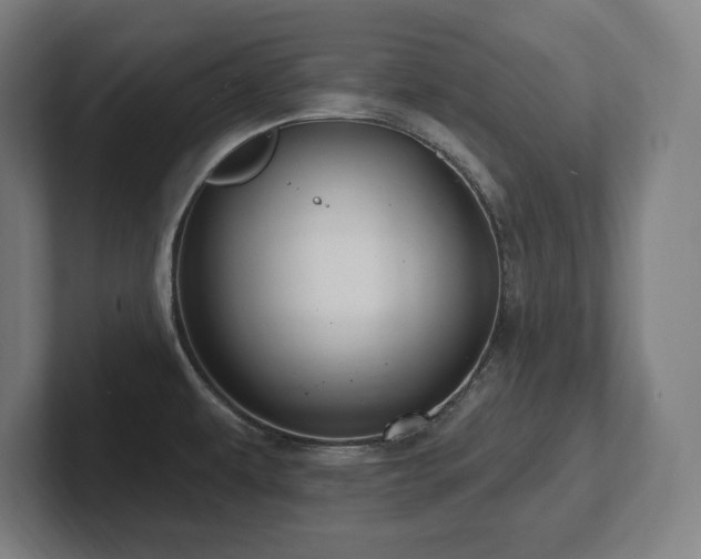 X0000102411479200808011557