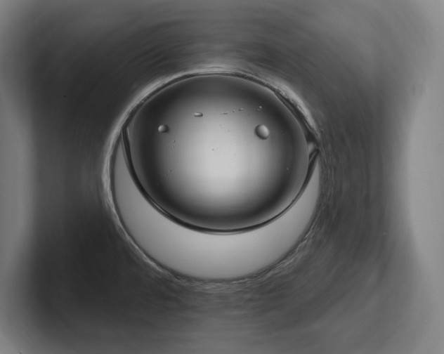 X0000102411480200808011557