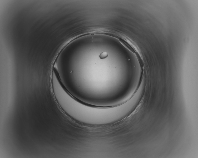 X0000102411481200808011557