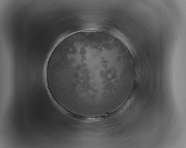 X0000102411483200808011557