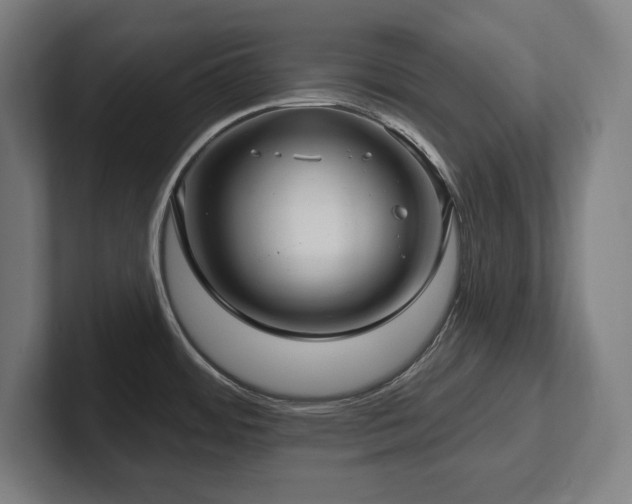 X0000102411484200808011557