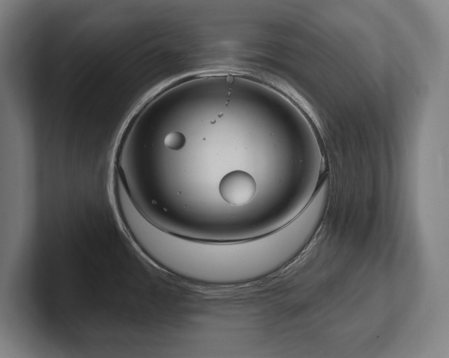 X0000102411485200808011557
