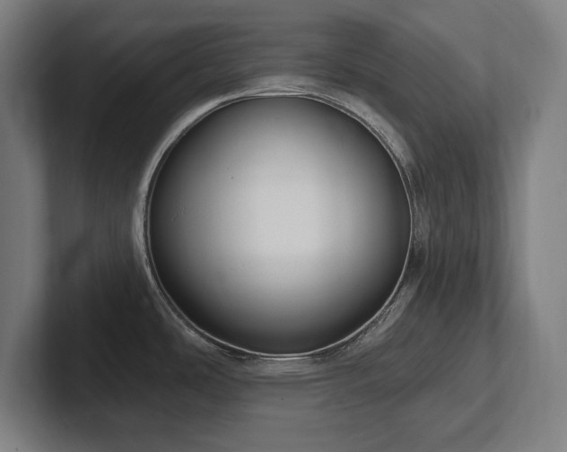 X0000102411486200808011557