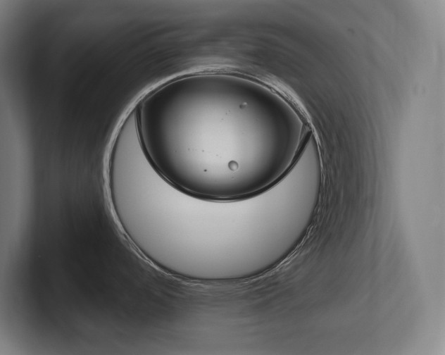 X0000102411488200808011557