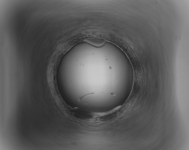 X0000102411489200808011556