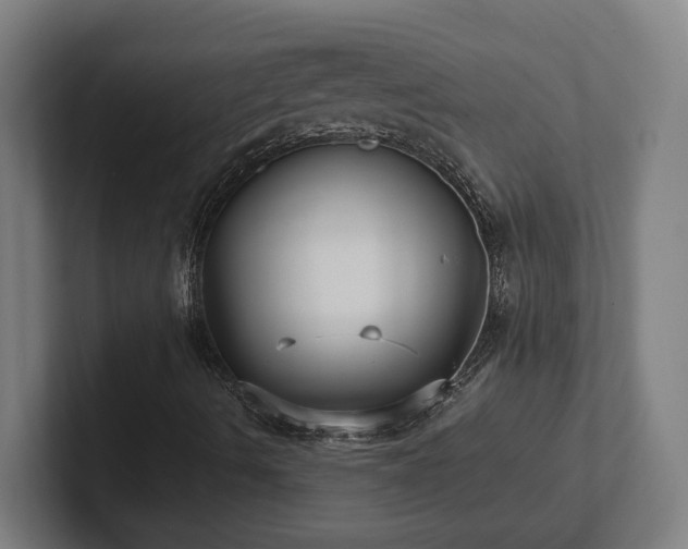 X0000102411490200808011556