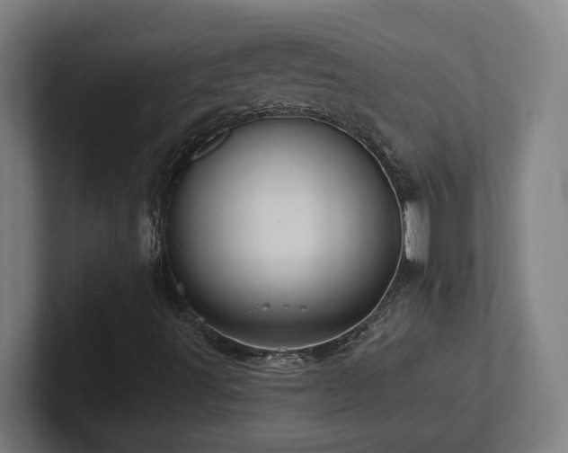 X0000102411491200808011556