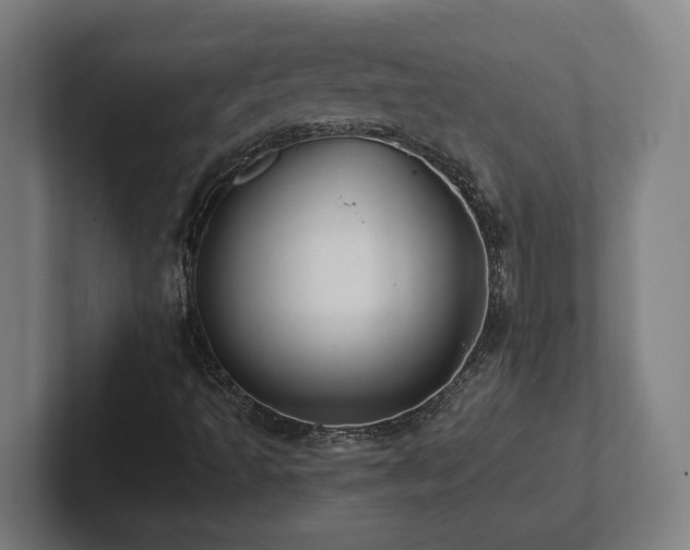 X0000102411493200808011556