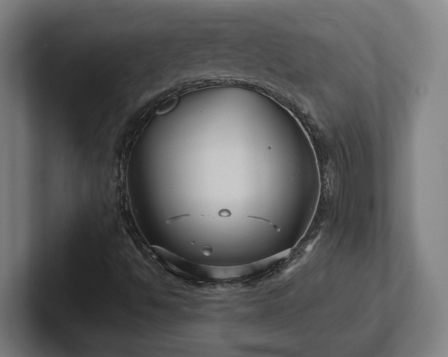 X0000102411494200808011556