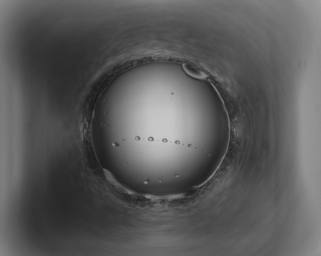 X0000102411495200808011556
