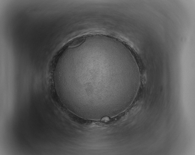 X0000102411496200808011556