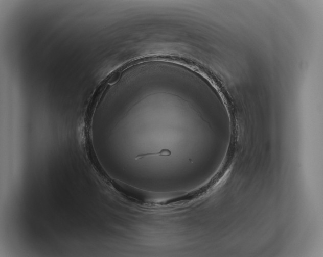 X0000102411497200808011556