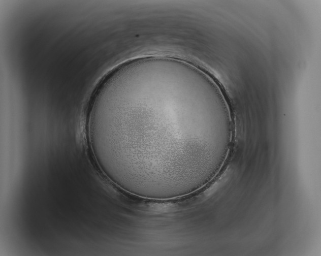 X0000102411498200808011556