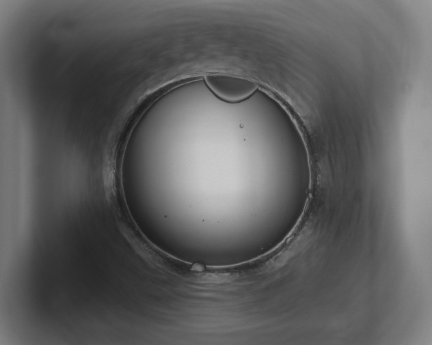 X0000102411499200808011556
