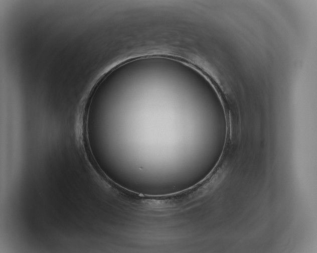 X0000102411500200808011556