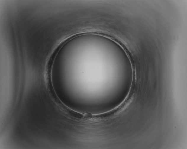 X0000102411501200808011556